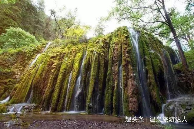 为什么我记得上学的时候学的一首《登黄鹤楼》变成了《登鹳雀楼》😳?-一个专业的问答类网站